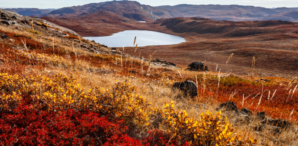 Kangerlussuaq_efteraar_01