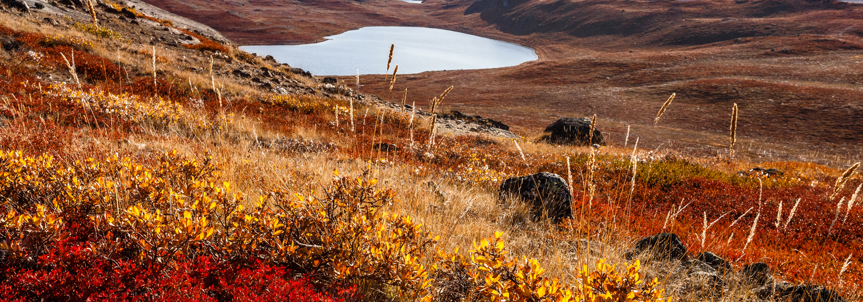 Kangerlussuaq_efteraar_01
