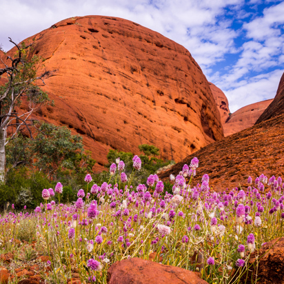 australien - ayers rock_10