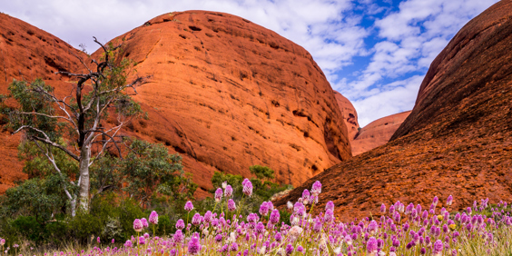 australien - ayers rock_10