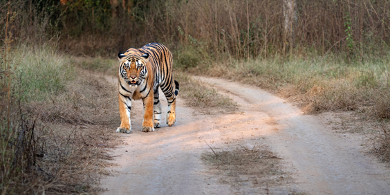 Nepal Chitwan Nationalpark 2380239713