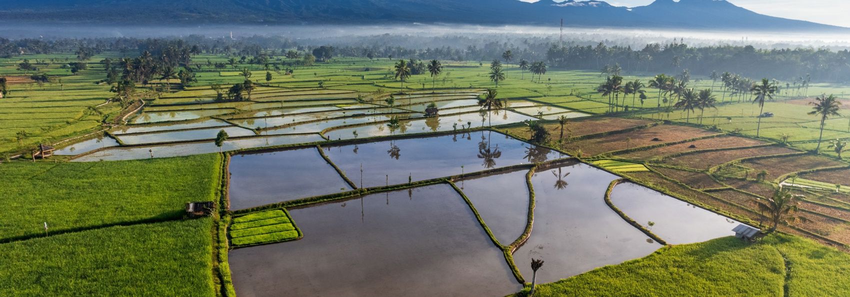 Lombok Tetebatu Rismarker Mt.Rinjani 2188340651