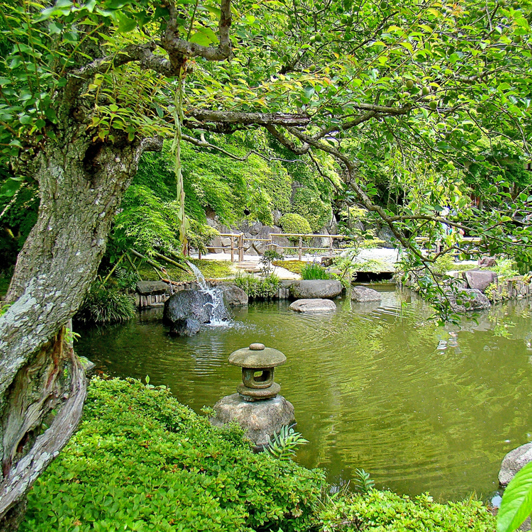 japan - kamakura_hasedera gardens_01_hf