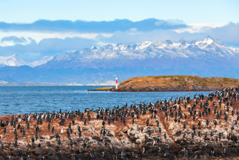 argentina - birds island_jules vernes fyrtaarn_01