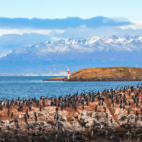 argentina - birds island_jules vernes fyrtaarn_01