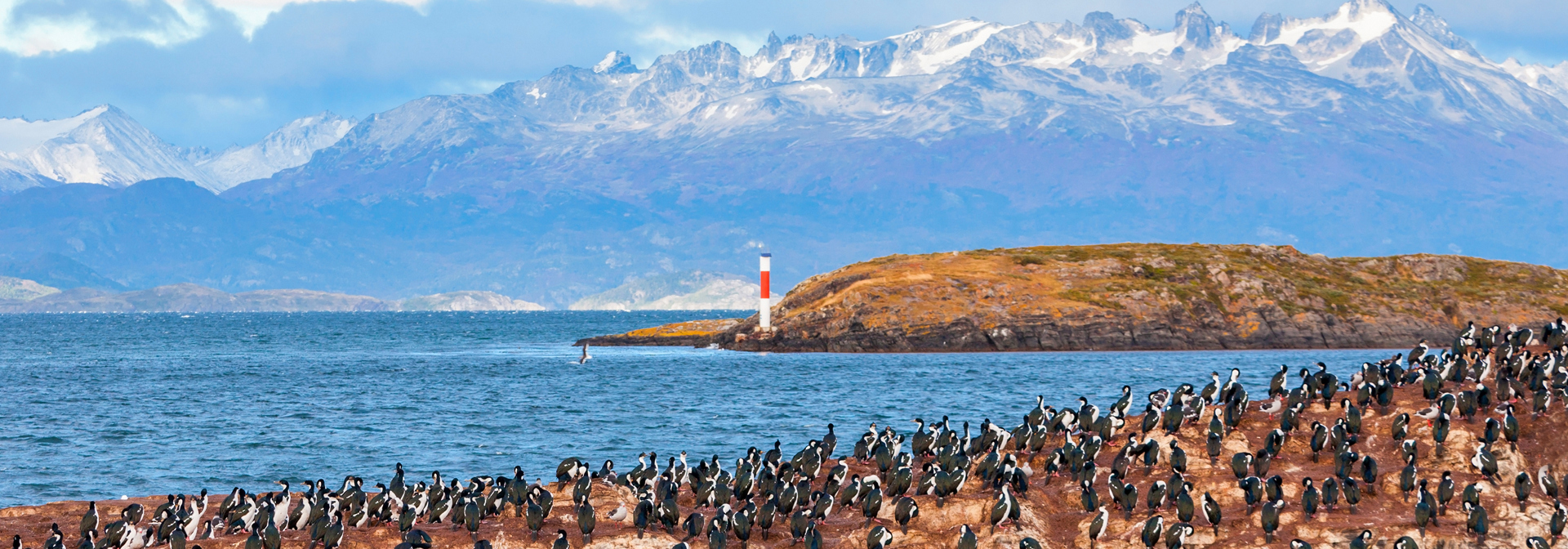 argentina - birds island_jules vernes fyrtaarn_01