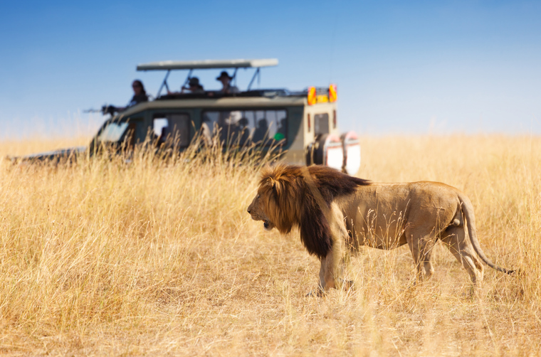 kenya_masai mara_safari_loeve_01