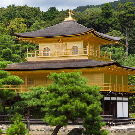 I Kyoto besøger vi den smukke guldpavillon