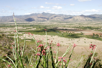 cuba - trinidad_sukkerdal_01