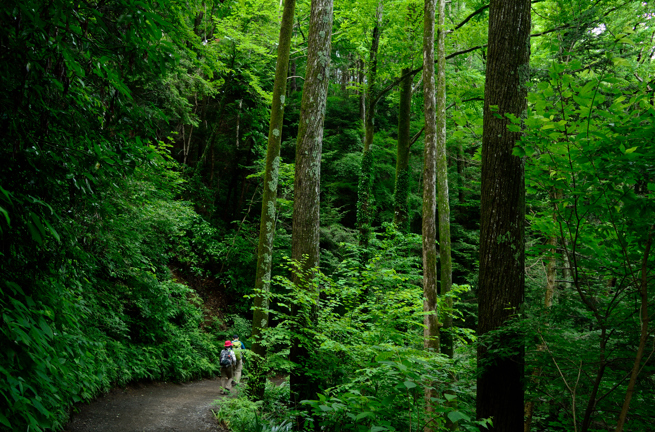 Mount Takao Vandresti GI 1291936711