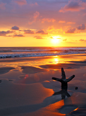 costa rica - playa nosara_solnedgang_01