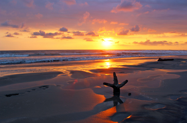 costa rica - playa nosara_solnedgang_01