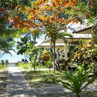Phayam Lodge Fællesareal