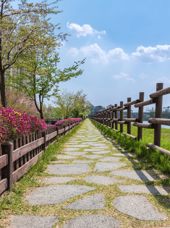 Sydkorea Osong Sti Osong Lake Park