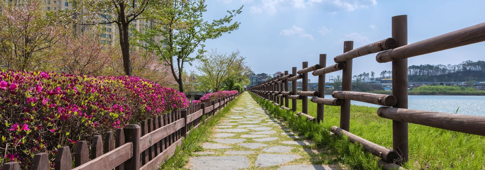 Sydkorea Osong Sti Osong Lake Park