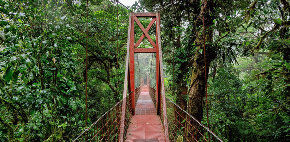 Costa Rica Hængebro 2440698401