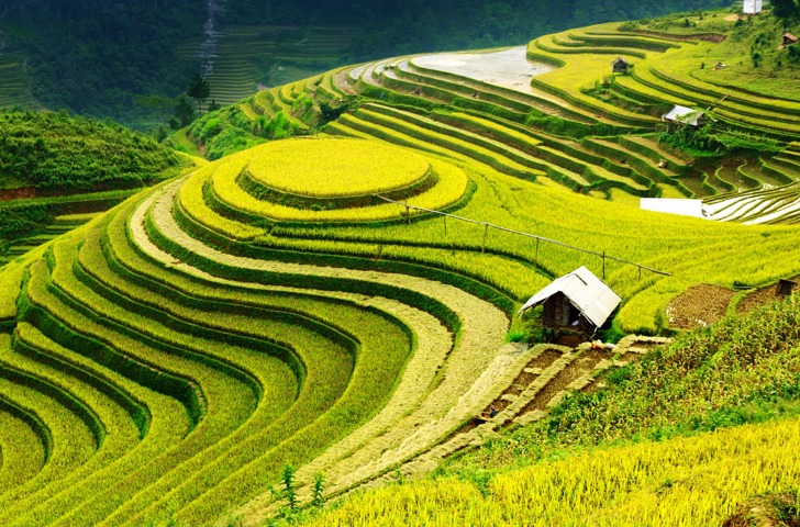 vietnam - sapa_rismark_05