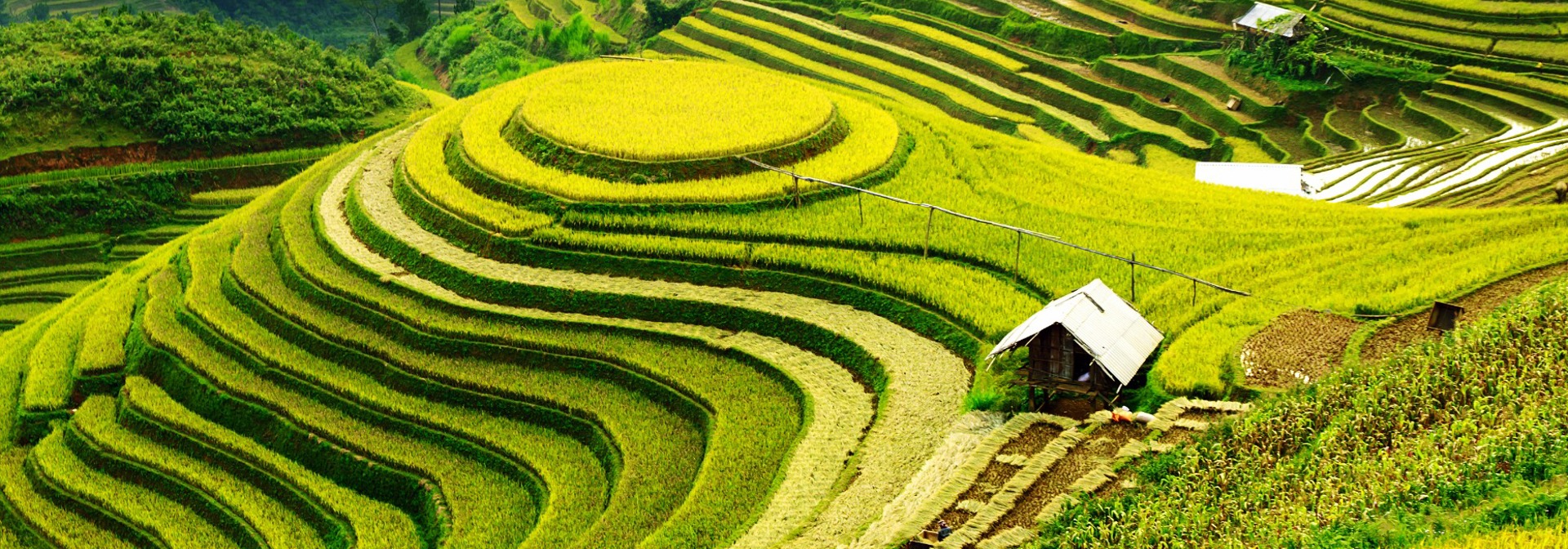vietnam - sapa_rismark_05