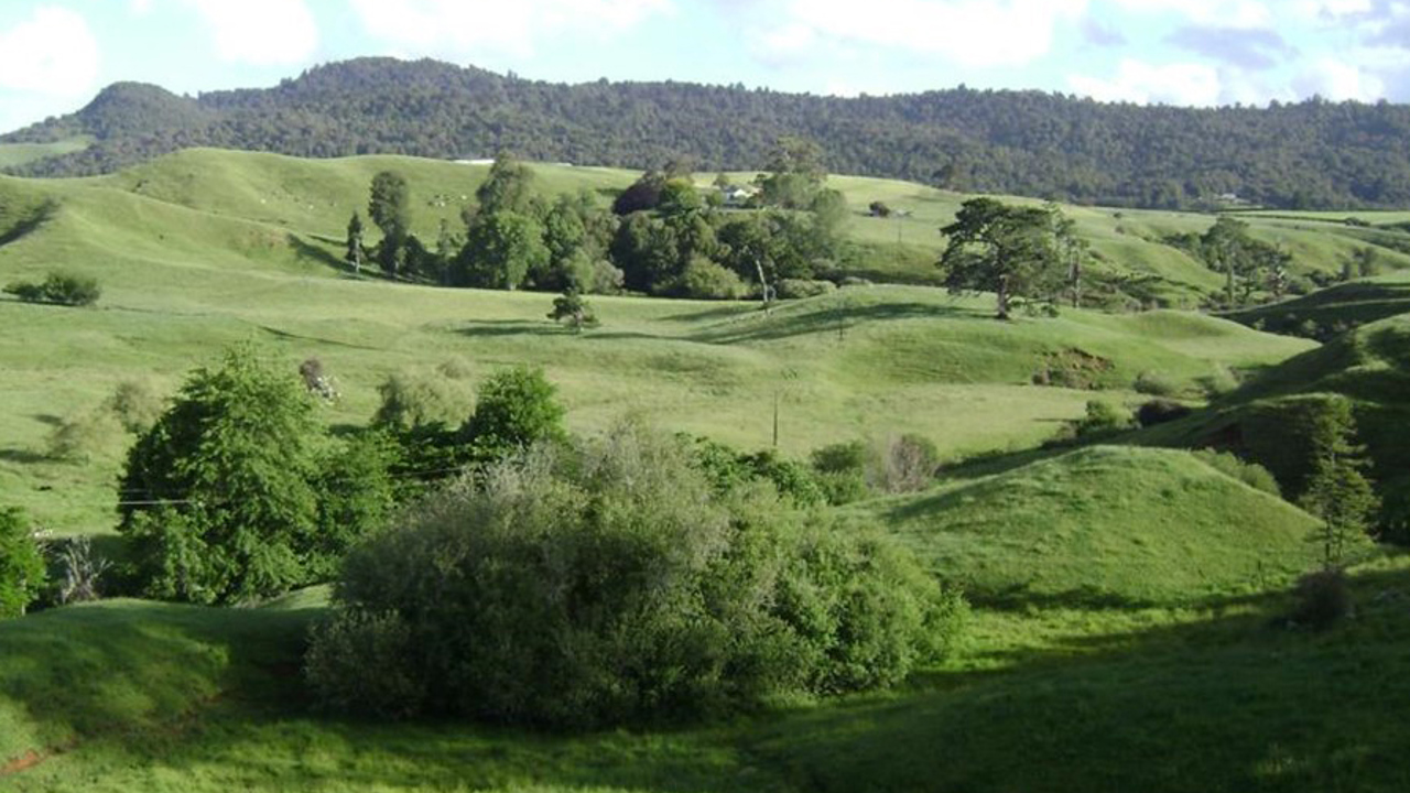 new zealand - farmstay_01