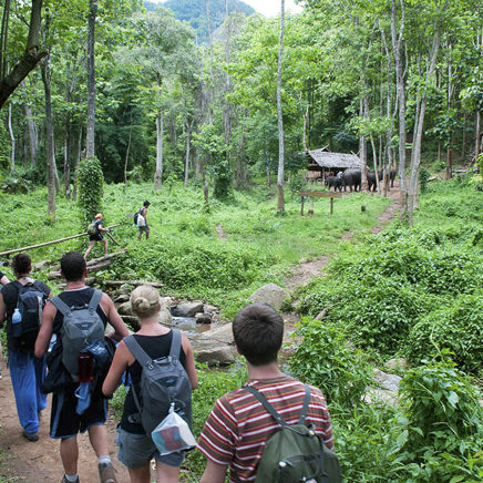 colombia - the lost city_12