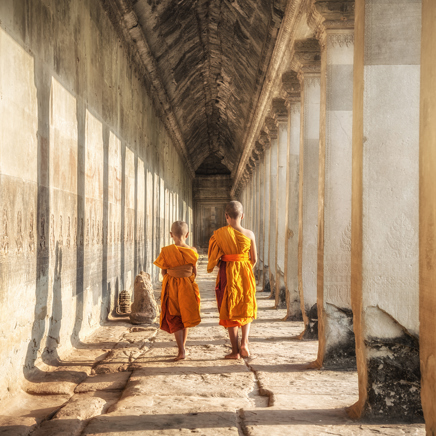 cambodia - siem reap munke