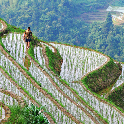 kina - ping an district_landbrug_02