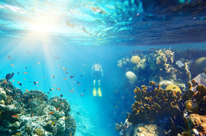 malaysia - snorkeling_01