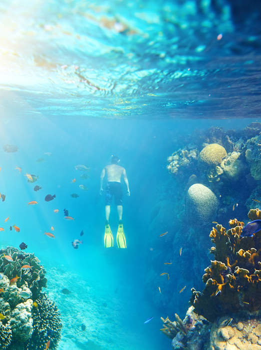 malaysia - snorkeling_01