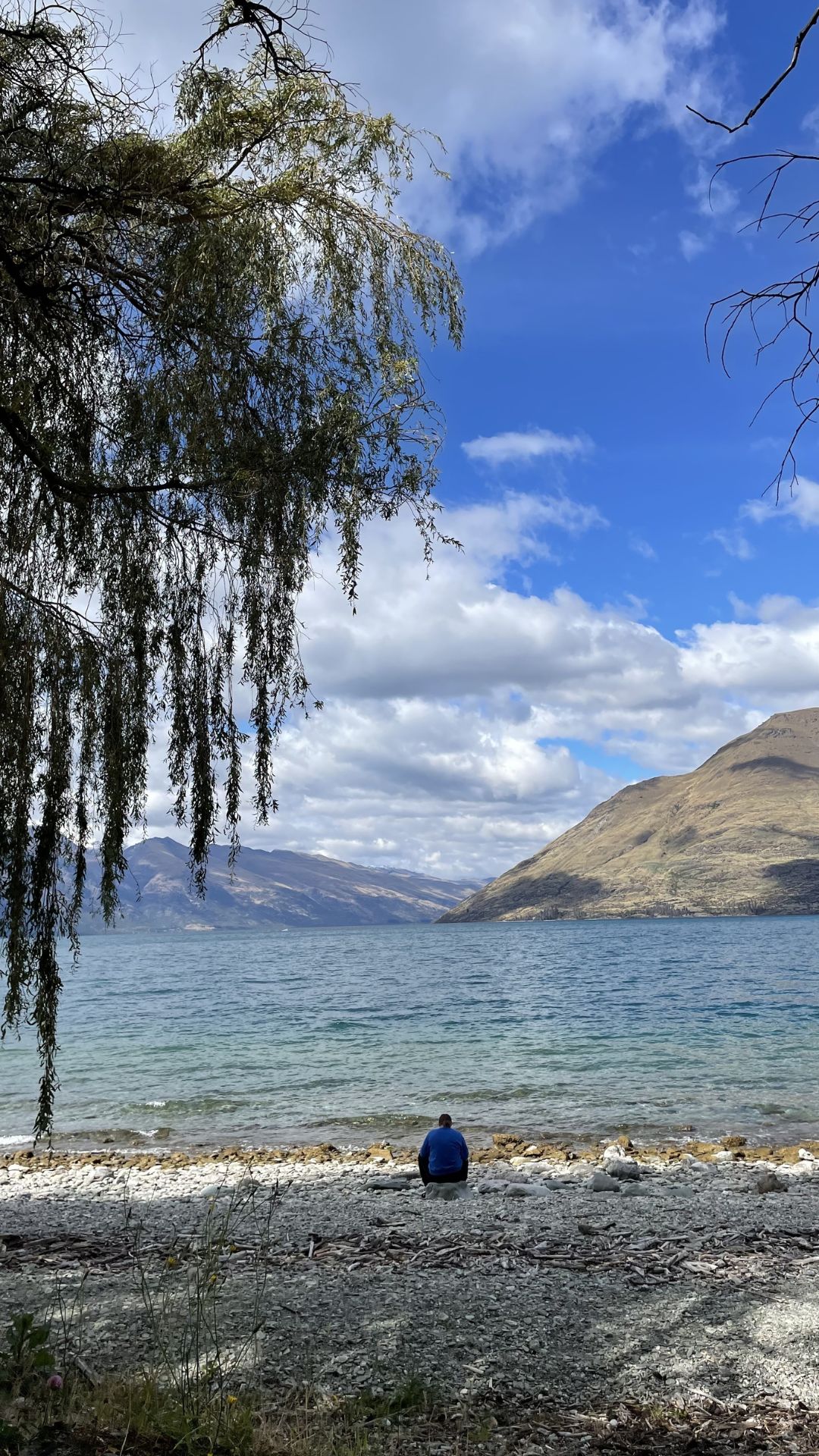 queenstown lake line