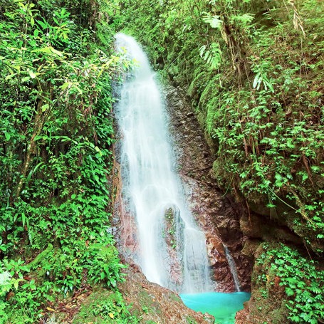 malaysia/borneo - borneo_kinabalu park_vandfald_01_hf