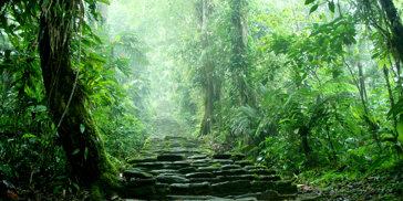 colombia - colombia_ciudad perdida_04