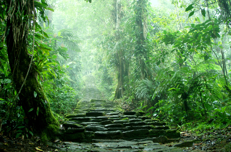 colombia - colombia_ciudad perdida_04