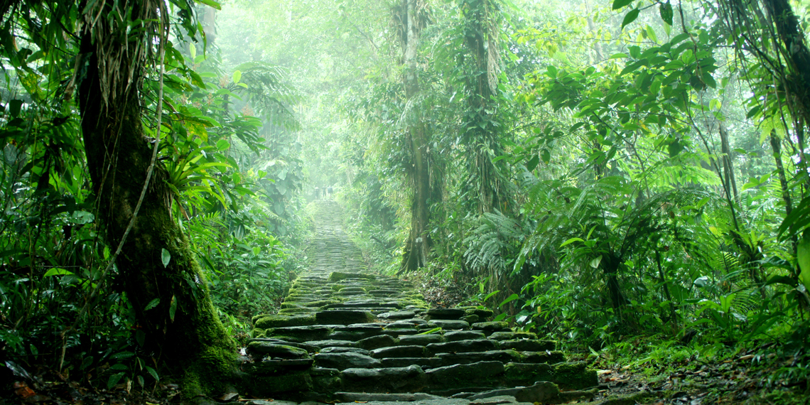 colombia - colombia_ciudad perdida_04