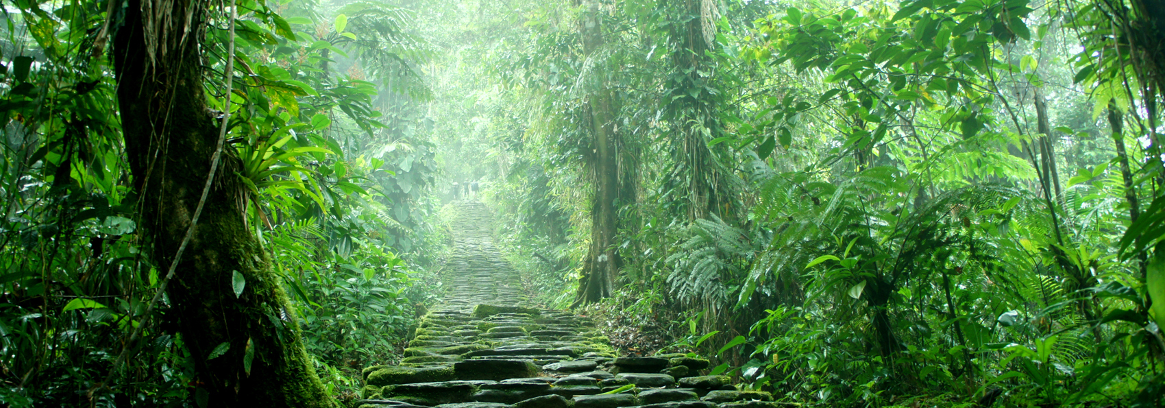 colombia - colombia_ciudad perdida_04