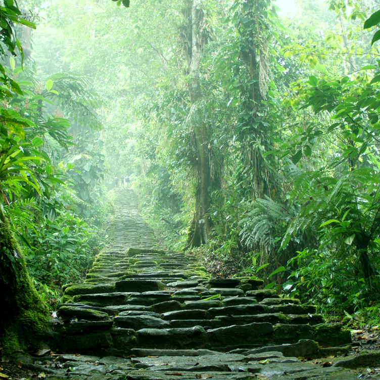 colombia - colombia_ciudad perdida_04