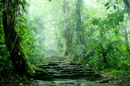 colombia - colombia_ciudad perdida_04