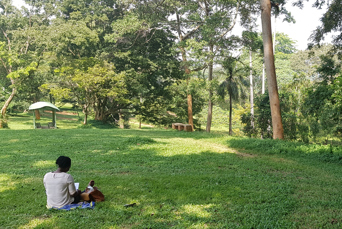 Uganda Entebbe Botanical Gardens