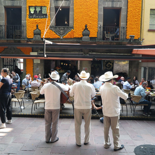 mexico - mexico city_roma notre_04