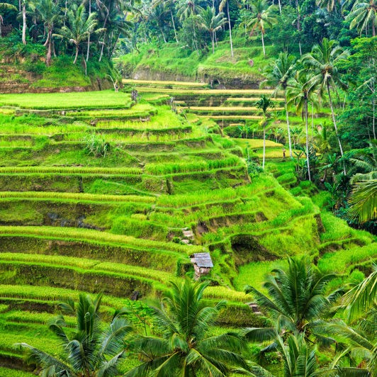 Ubud