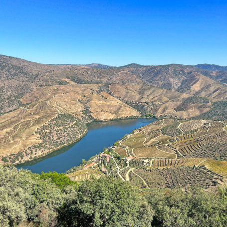 Douro Udsigt Flod Vinmarker