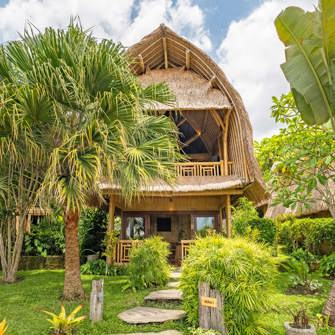 Alila 8