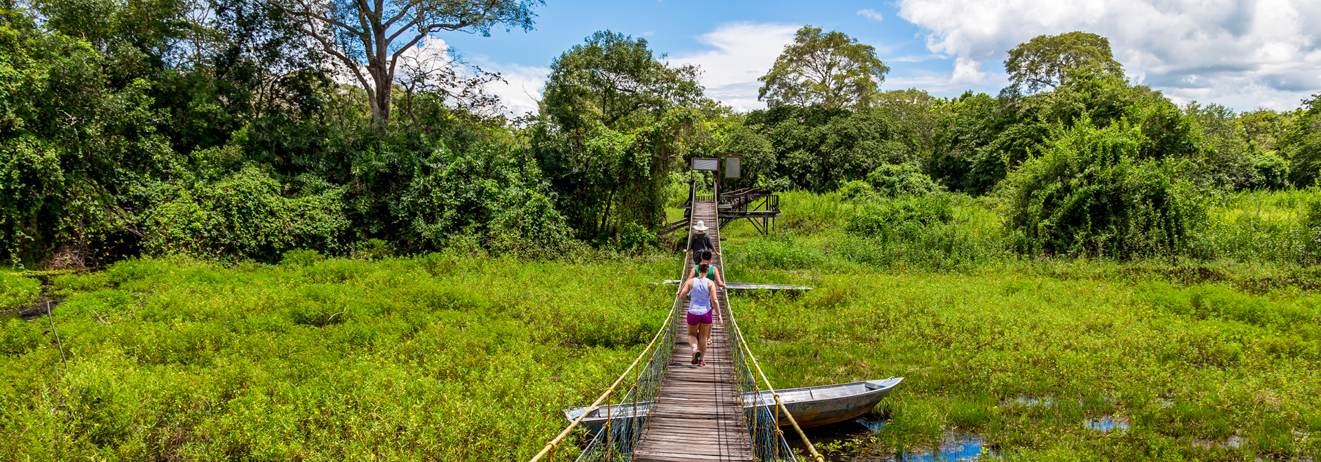 brasilien - pantanal_bro_01