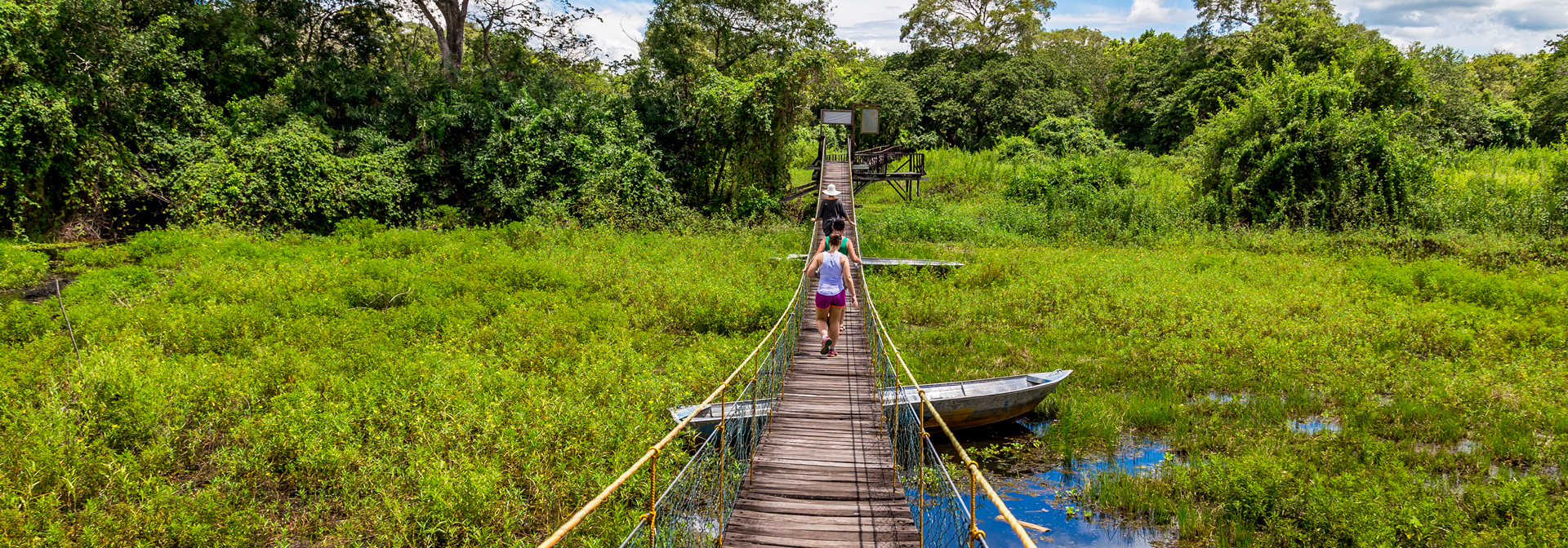 brasilien - pantanal_bro_01