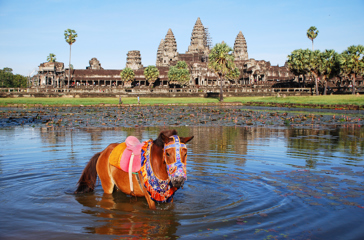 colombia - siem reap_angkor wat tempel_10