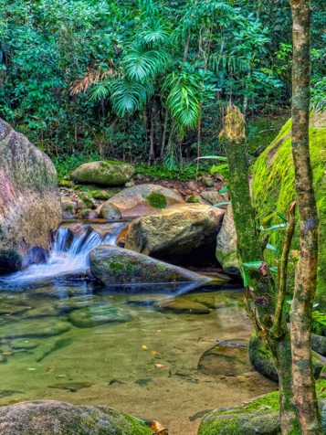 ecuador_amazonas_jungle_01