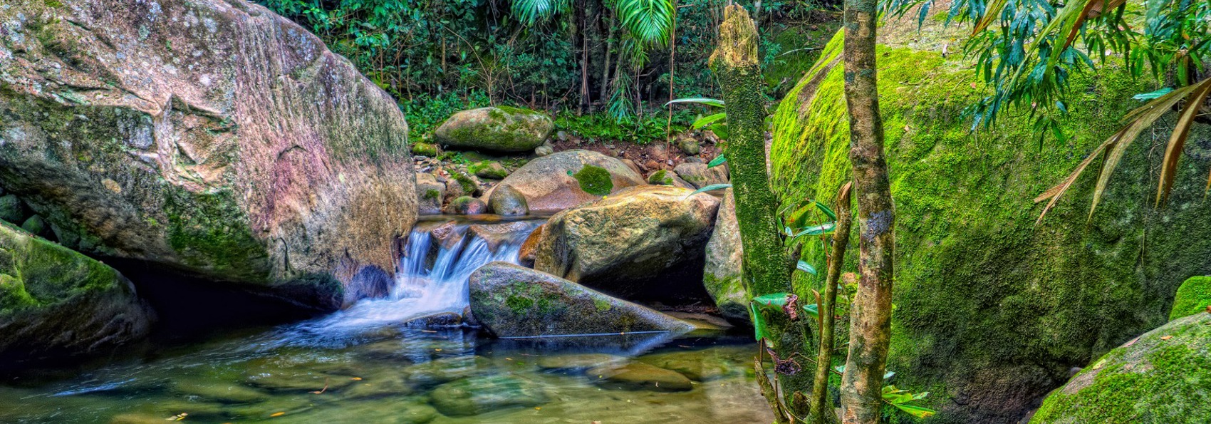 ecuador_amazonas_jungle_01