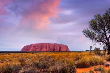 Australien Ayers Rock 15