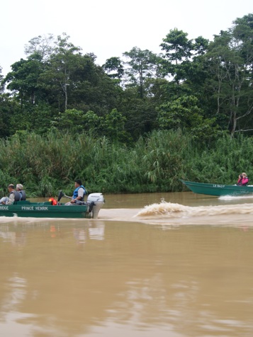 Sukau Rainforest Lodge_01