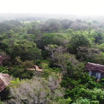 Backwaters Lodge Område