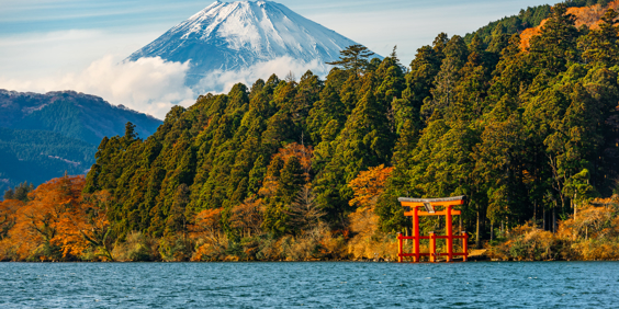 Mt Fuji Skov Og Rød Torri Port I Hakone